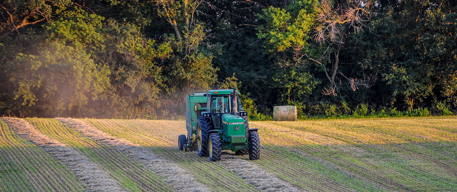 Tractor in field